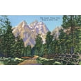 thumbnail image 3 of Grand Teton National Park, Wyoming, Road to Jenny Lake View of the Grand Tetons (100% Cotton Tea Towel, Decorative Hand Towel, Kitchen and Home), 3 of 3