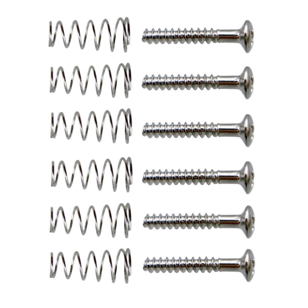 Paquete de 6 Tornillos de ajuste de pastilla de guitarra eléctrica Yuyangstore con resortes Plata