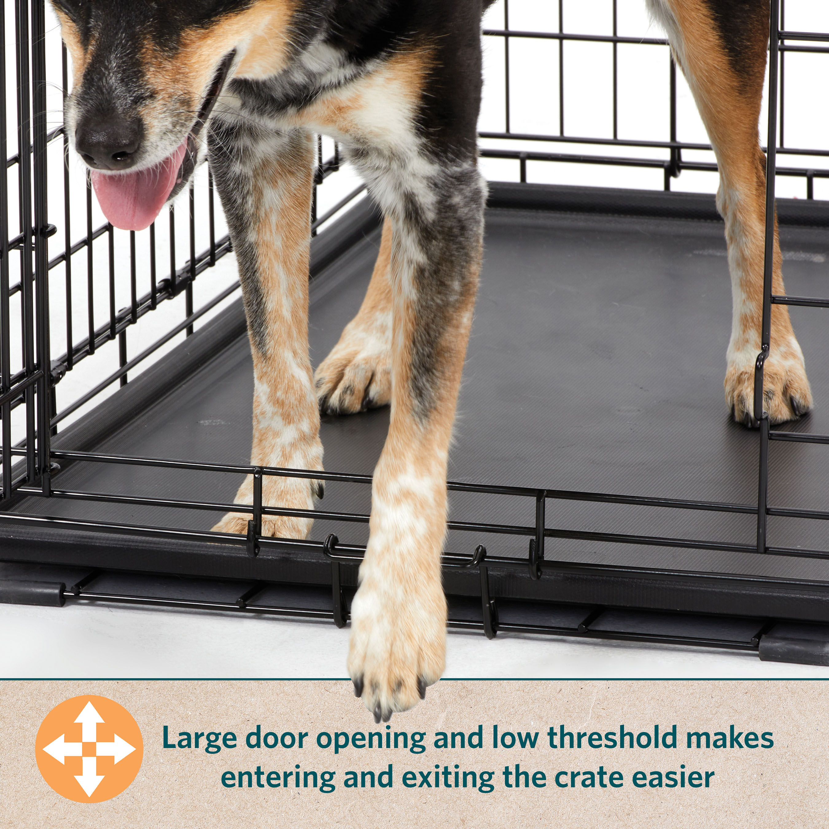 MidWest LifeStages 24" Dog Crate, Single Door photo 8