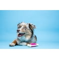 thumbnail image 4 of Hartz Chew 'n Clean Tuff Bone Dog Toy with Bacon Scent, Medium, Nylon, 4 of 8