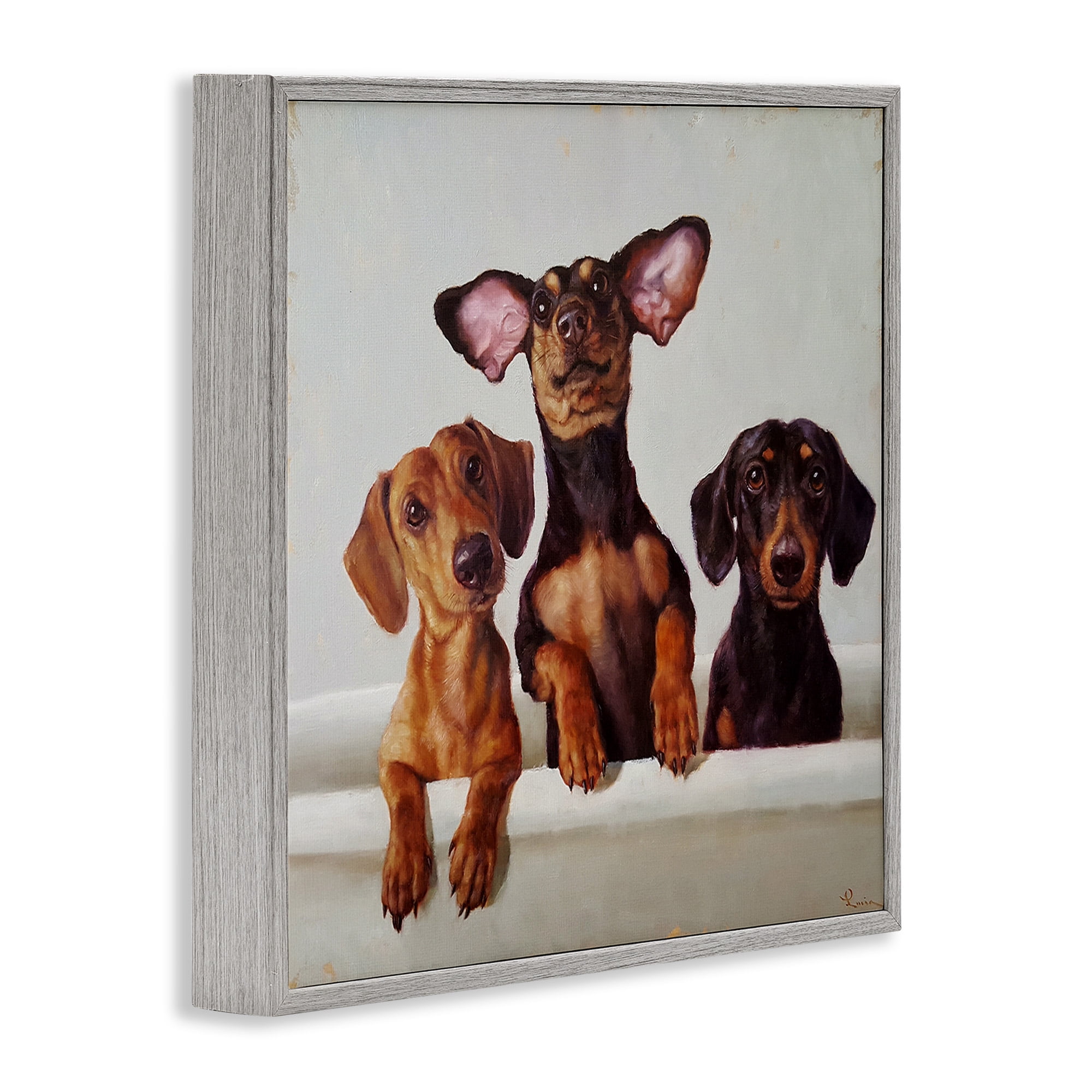 Stupell Industries Dachshunds in Bathtub Animals & Insects Painting Gray Framed Art Print Wall Art, 12 x 12