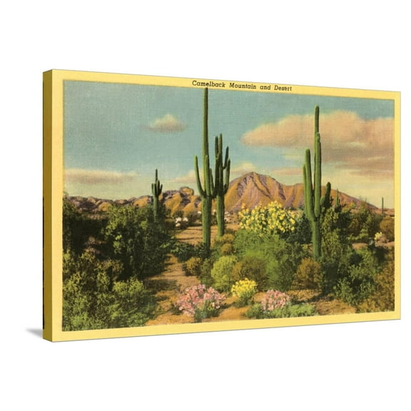 Art.com Camelback Mountain, Saguaros, Arizona Stretched Canvas Print Wall Art, 36" x 24"