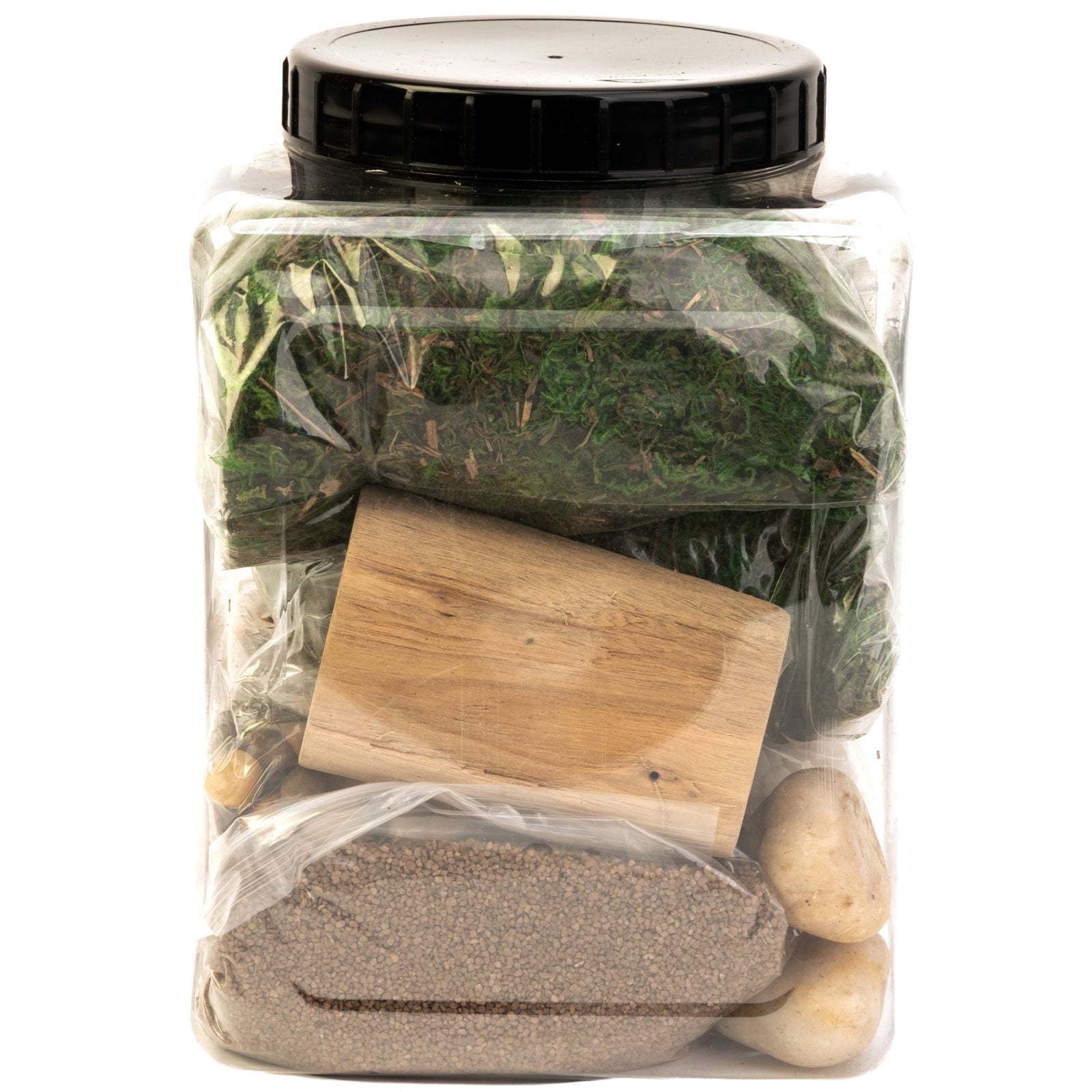 Better Homes & Gardens Terrarium Starter Kit for Indoor Plants