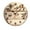 FFclock002, variant on ZXCXRQFa Blue Seashell Sea Wood Wall Clock Silent Non-Ticking Kitchen Desk Clock Battery Operated Analog Decorative Round Clocks 10 in Garden Home Decor