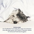 thumbnail image 3 of PupSheets Hair Resistant, Antimicrobial & Cooling Duvet Cover and Sham Set, 3 of 9