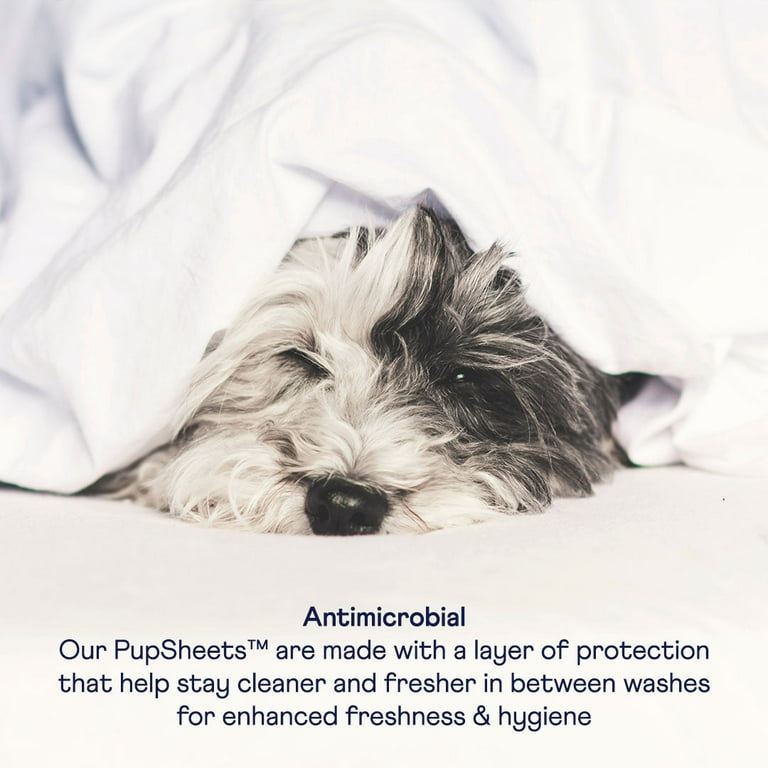  Pet Hair Resistant Comforter