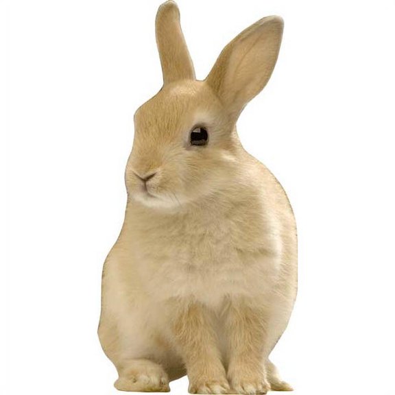 Wallhogs Sitting Bunny Cutout Wall Decal