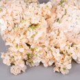 thumbnail image 4 of Hongchun 6 Pcs Artificial Hydrangea Flower Heads Artificial Flower Heads with Stems (Champagne), 4 of 4