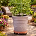thumbnail image 6 of DeVault Enterprises DEV3000PNH 16" Terra Cotta Plant Dolly, 6 of 6