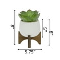 thumbnail image 2 of Artificial Succulent in 4.5" Matte White Ceramic Planter on Wood Stand, 2 of 2