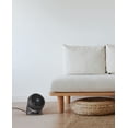 thumbnail image 2 of Vornado 533 Small Air Circulator with Multidirectional Airflow, 3 Speeds, Whisper Quiet, Black, 2 of 5