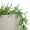 thumbnail image 2 of Bouclair Green Hanging Vine in Ceramic Pot, 2 of 2