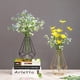 thumbnail image 4 of Advancent Florero Soporte para plantas Decoración de bodas Regalos artesanales Linterna Negro 24x14cm Jardín y Patio Oro geométrico 22.5x15.5 cm Advancent HA063221-04, 4 of 6