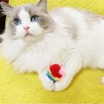 thumbnail image 4 of 10 Uds. Gatito de colores juguete gato persiguiendo bola de lana, 4 of 5