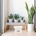 thumbnail image 4 of Miangastore Transparent Reptile Breeding Box Plastic Lizard Feeding Box Practical Pet Feeding Box, 4 of 9