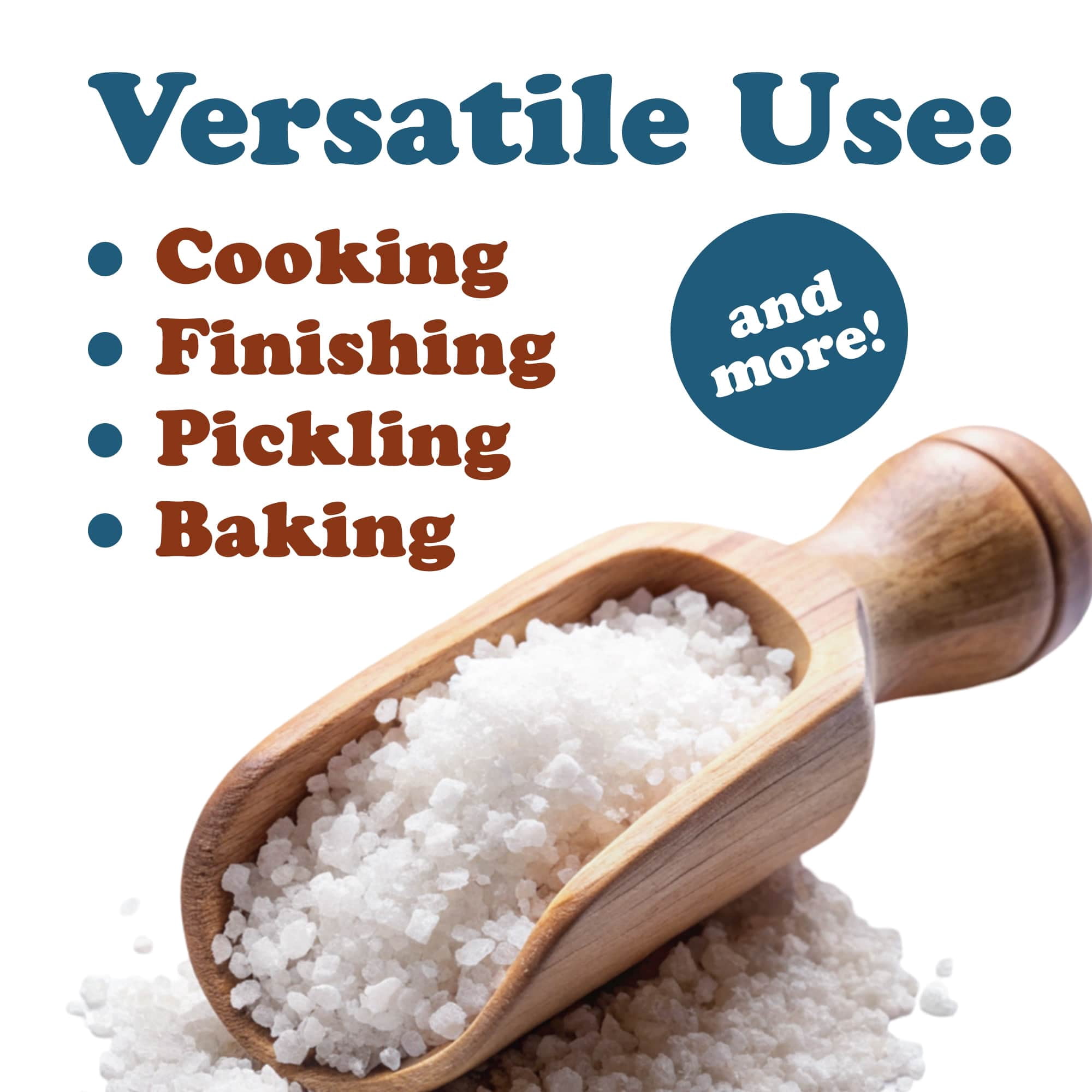 Coarse Mediterranean Sea Salt, 12 Pounds — Kosher, Raw, Vegan — by Food to Live