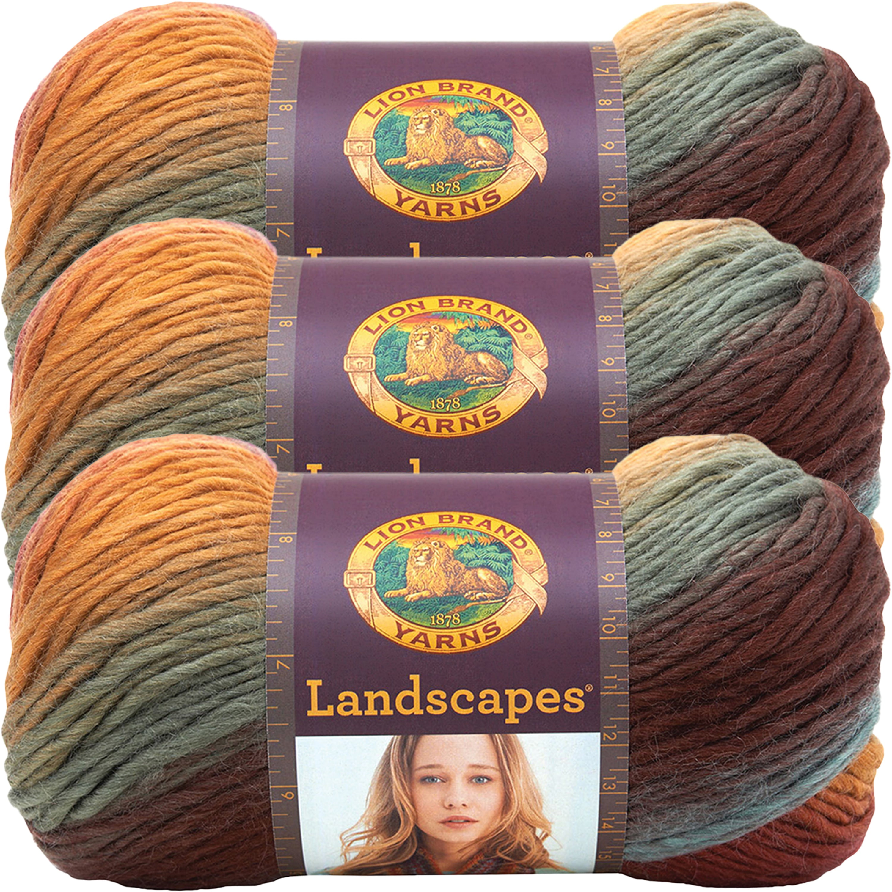 Pack of 3 skeins Rain Forest Lion Brand Yarn 545-210 Landscapes Yarn 