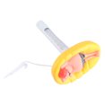 thumbnail image 4 of Floating Funny Cartoon Floating Pool Thermometer for Outdoor Indoor Swimming Pools Spa Pond, 4 of 5