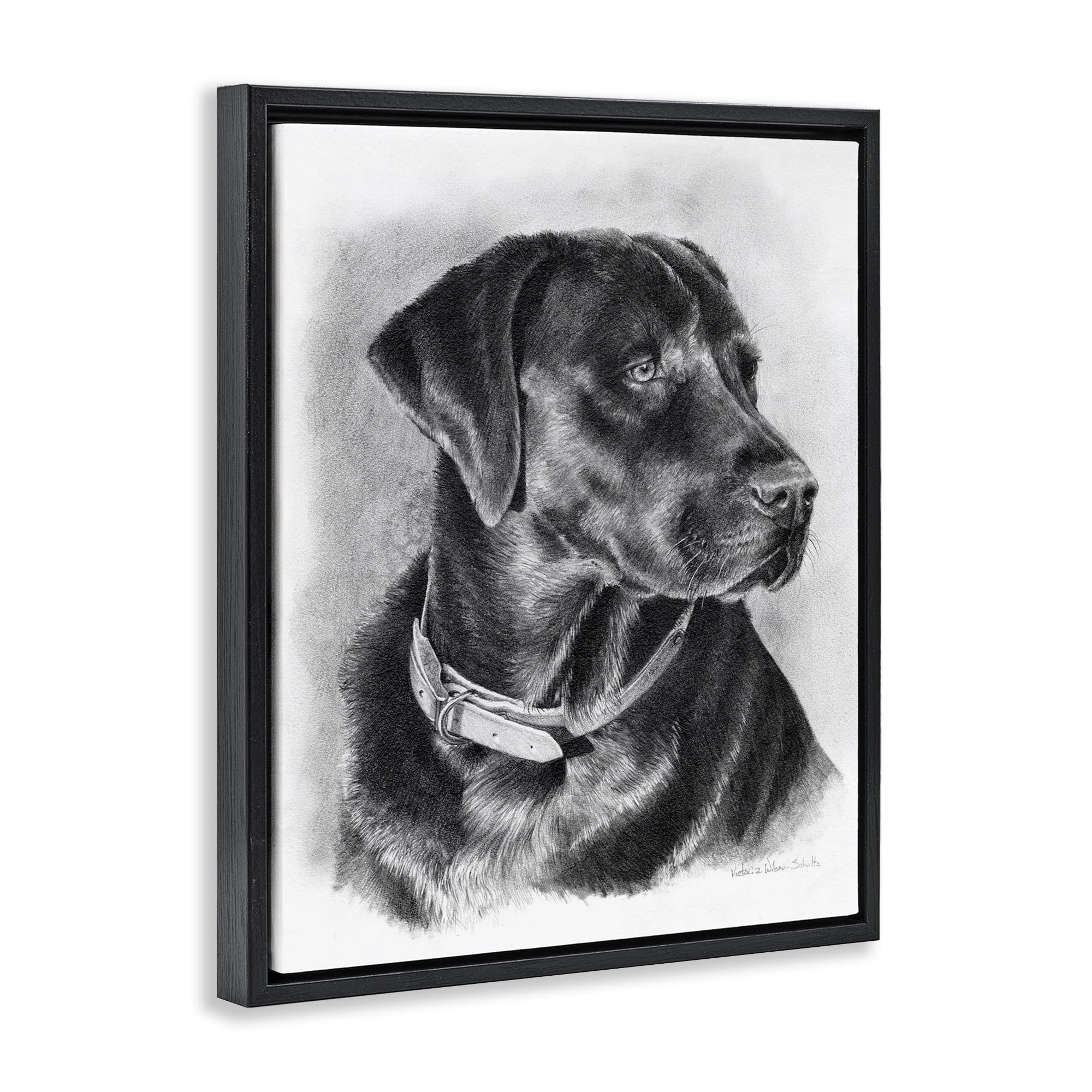 Stupell Industries Black Lab Drawing Animals & Insects Drawing Black Floater Framed Canvas Art Print Wall Art, 17 x 21