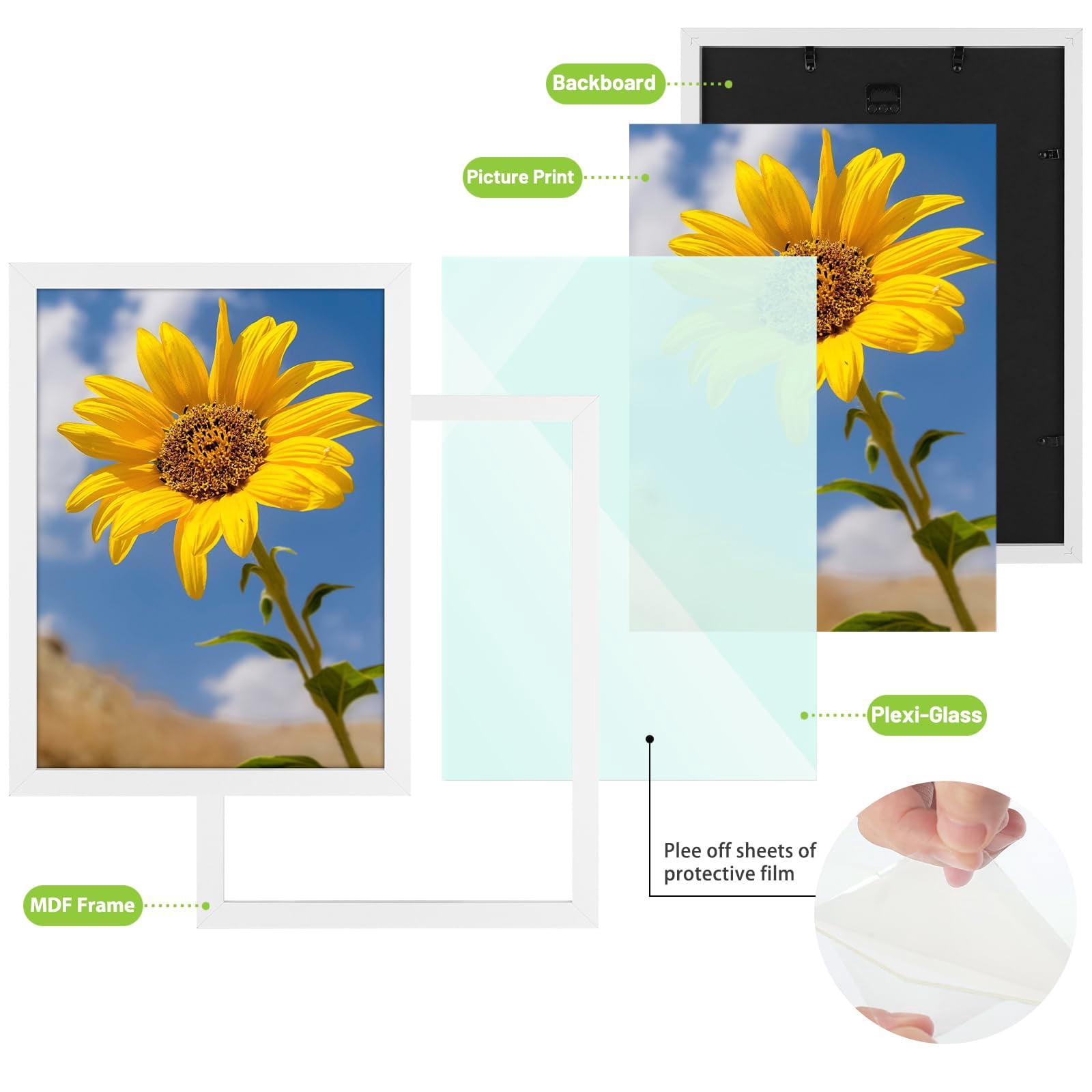 Golden State Art A3 11.7x16.5 Inch Picture Frames with Plexiglass, White, Set of 2