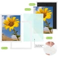 thumbnail image 6 of Golden State Art A3 11.7x16.5 Inch Picture Frames with Plexiglass, White, Set of 2, 6 of 8