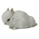 thumbnail image 5 of Decoración  apoyos foto estatuilla del animal B blanco Gloria Simulación Relastic Rabbit, 5 of 9