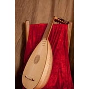 Roosebeck 7-Course Descant Lute