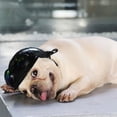 thumbnail image 5 of Fashion Outdoor Safety Protection Dog Helmets Ridding Cap Cat Hat Pet Supplies M WHITE, 5 of 8