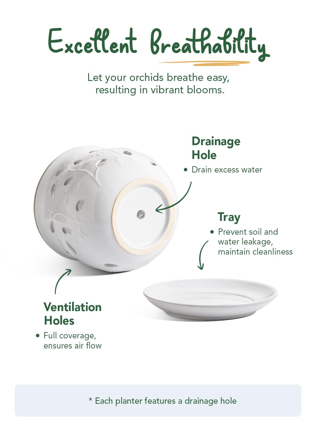 LE TAUCI Orchid Pot, 6.5 Inch Ceramic Planter with Drainage Hole and Saucer, White Indoor Plant Pot for Repotting(Plant not included)