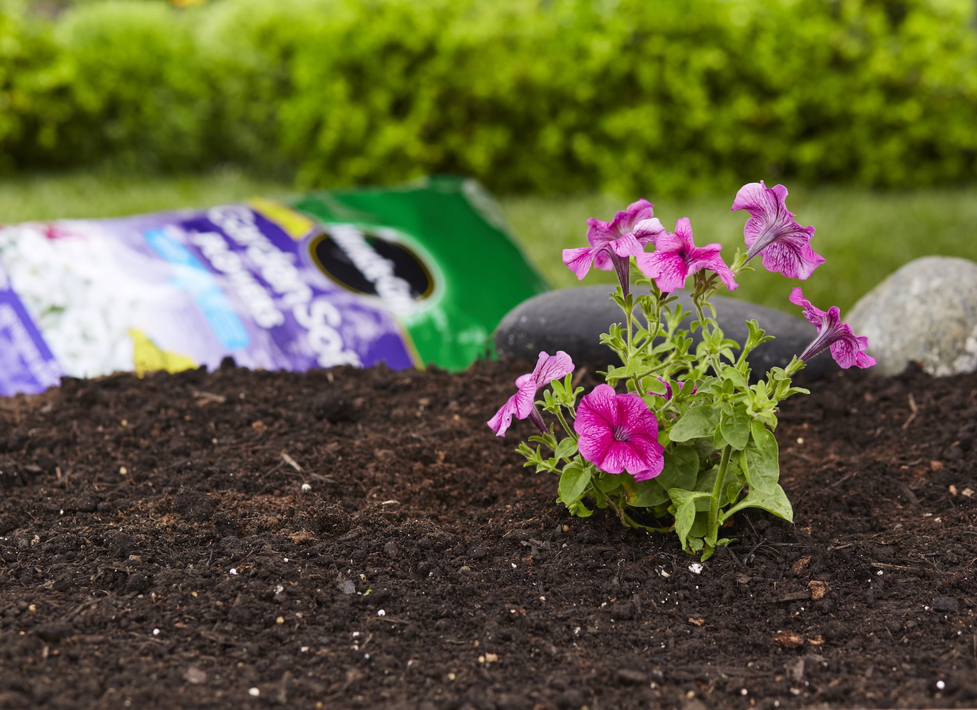 Miracle Gro Outdoor Garden Soil for Flowers with Moisture Control 1.5 cu. ft. Walmart