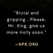 Stephen King: Holly (Hardcover)