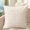 Q, variant on Nkmbld Soft Throw Pillow Covers Square Cushion Cases Luxury Velvet Decorative Pillowcase for Sofa Couch Bedroom Living Room Chair, 18 x 18 Inch
