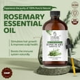thumbnail image 2 of TRATAK ORGANICS Rosemary Essential Oil 4 fl oz - 100% Pure & Natural Rosemary Oil for Hair Growth, Hair Oiling, Scalp Massage, Diffuser & Aromatherapy, 2 of 8
