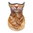 thumbnail image 1 of 5xPolainas Para El Cuello Con Diseño De Gato, Máscara Facial De Verano Con Presillas Para Las Orejas Para Esquiar, Uso Diario, Marrón, 1 of 8