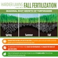 thumbnail image 5 of GreenView Fairway Formula Fall Lawn Fertilizer - 22.5 lbs. Covers 7,500 Sq. ft., 5 of 11