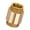 Double inside, variant on 6 Inch Brass Anti Backflow Check Heavy Duty Construction For Plumbing And HVAC Applications Water Supply Systems