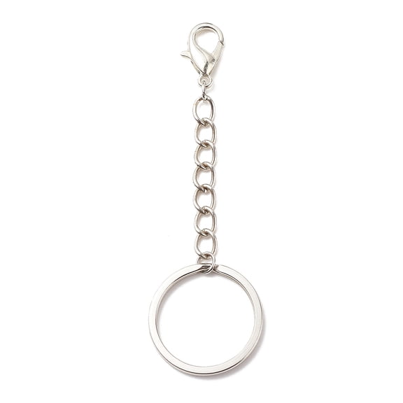 10Pcs 304 Stainless Steel Keychain with Iron Chains Curb Chains Zinc Alloy Lobster Claw Clasps for Women's Keychain Phone Charm Accessories Purse