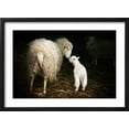 thumbnail image 2 of Art.com Sheep with a Lamb Standing in the Doorway of the Barn. Maternal Instinct Photographic Print by Katarzyna Mazurowska, Black Frame Wall Art, 23" x 17", 2 of 5