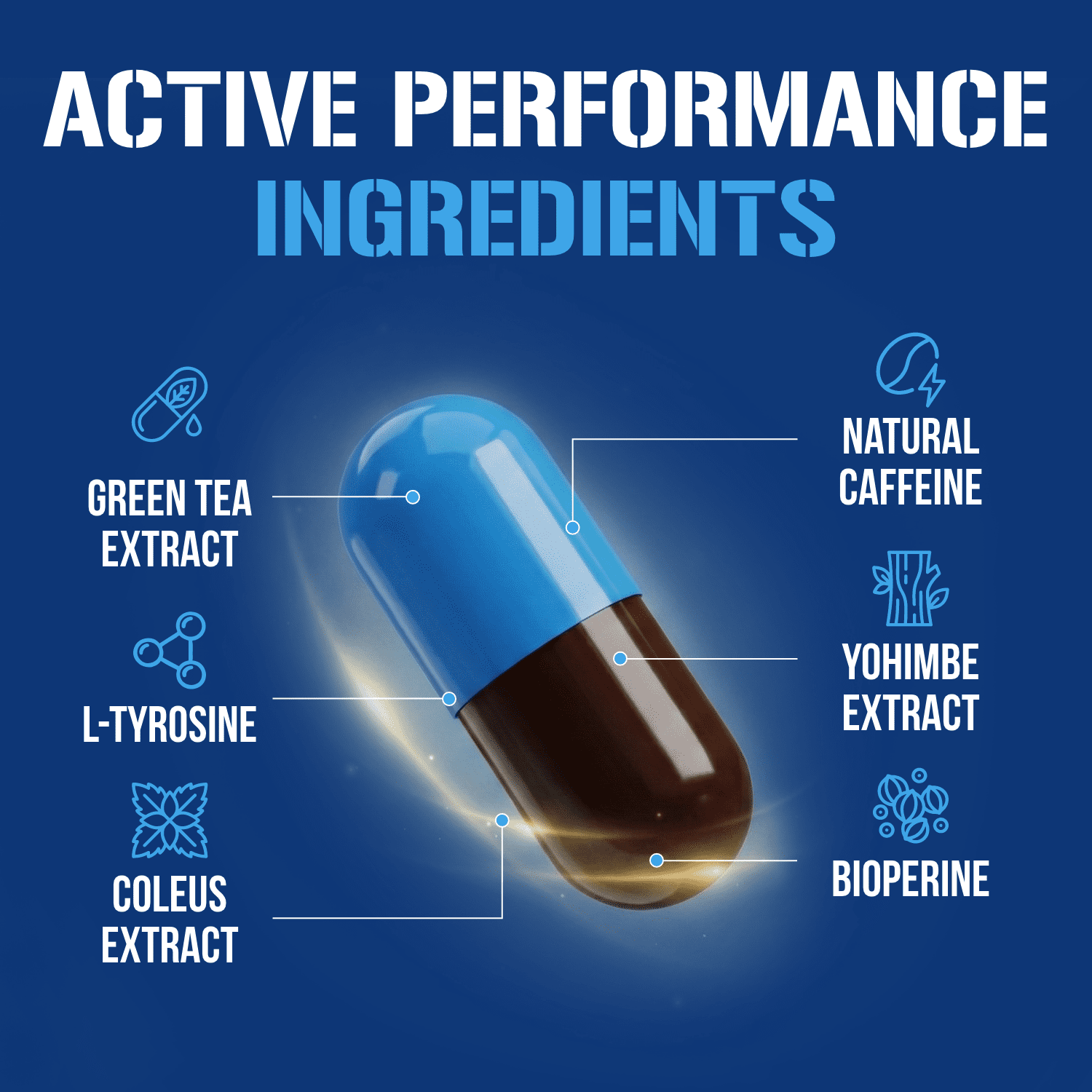 Trans4orm Thermogenic Fat Burner Supplement - EVL Nutrition Weight Loss Pills Metabolism Booster - Appetite Suppressant for Weight Loss Diet Pills for Men & Women (60 Servings)
