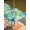 Green, variant on Easter Outdoor Tablecloth - 54 Inch Round Dining Table Cover, Spring Bunny Silhouette Blue Green Gradient Waterproof Outdoor Table Cloth with Umbrella Hole & Zipper for Picnic/Patio/Party