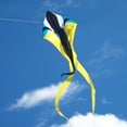 thumbnail image 3 of In the Breeze 3145 — Zydeco Wave Delta Kite, 77-Inch — Easy Flying Single Line Large Kite for Adults and Kids, 3 of 6