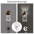 thumbnail image 3 of Bingfone Adorable Kitten On Mini Train Print Night Lights Plug into Wall,Dusk to Dawn,Bright Nightlight Auto-On/Off, for Adults Kids Room Bedroom Bathroom Hallway Kitchen, 3 of 7