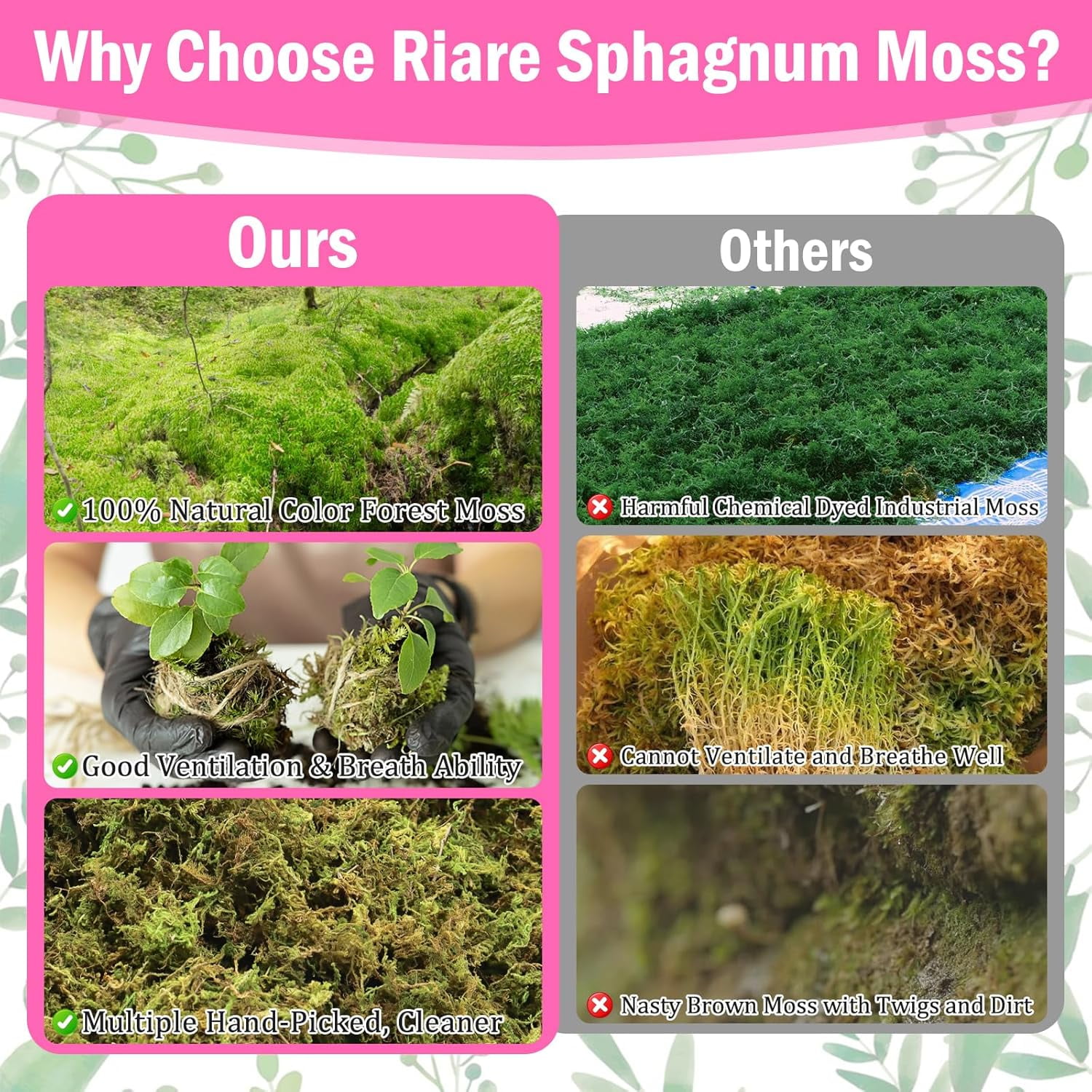 4.4LBS Premium Sphagnum Moss for Plants- 80QT Natural Dried Plant Moss for Potted Plants, Orchid Moss for Repotting, Soft Green Decorative Moss for Succulents, Reptiles & DIY Crafts