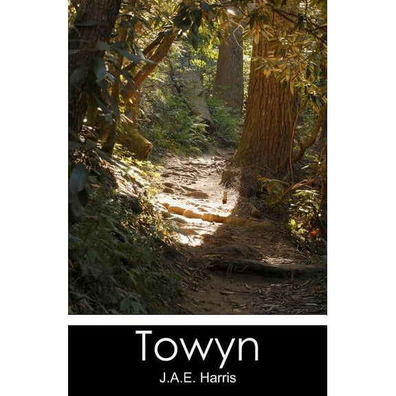 Towyn (Paperback)