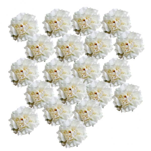 2x 20 Unidades de Seda Artificial Peonía Flores Jefes Decoración de DIY para El Banquete de Boda en Casa Hotel Fondo Decoración de Sunnimix cabeza de flor