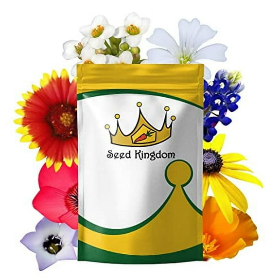 Wildflower Mix Annual 21 Varieties Non GMO Bulk Flower Seeds by Seed Kingdom Aprox. 35,000 Seeds (1 Oz)