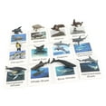 thumbnail image 3 of Figuras de Animales Sunnimix 12 Unids con Tarjetas Flash Realistas, 3 of 8