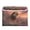Majestic Powerful Lion, variant on Large Fliplid Foldable Storage Bin Boxes Cubes Baskets with 2 Handles for Clothes Books 16.5x12.6x11.8 Inch Oil Painting Of Giraffe