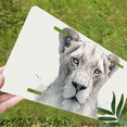 thumbnail image 5 of 1 Pcs 2D Flat License Plate Covers & Frames, Lioness For Decorative Front, Waterproof For Decoration Aluminum License Plate Covers & Frames Cover For Men Women, 12" X 6", 5 of 6