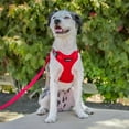 thumbnail image 5 of Voyager Step-In Lock Cat Harness - Adjustable Step-In Vest Harness for Small and Large Cats by Best Pet Supplies, 5 of 9